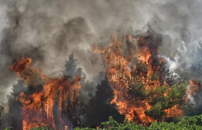 Σε συναγερμό για φωτιές αύριο η χώρα: Πολύ υψηλός κίνδυνος για 8 περιοχές