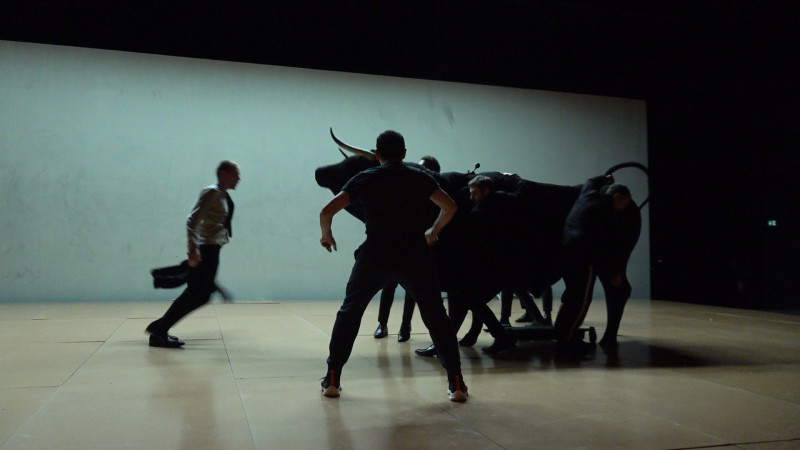onassis bull