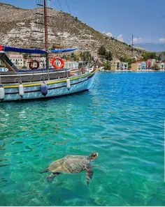 Την Τήνο αναδεικνύει ως ιδανικό προορισμό για απόδραση την άνοιξη το αμερικανικό ταξιδιωτικό μέσο Whereverfamily.com