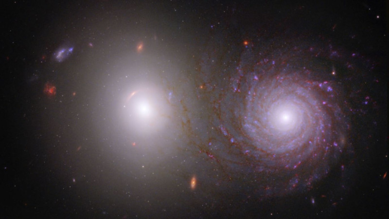 Το διαστημικό τηλεσκόπιο James Webb και το διαστημικό τηλεσκόπιο Hubble συνέβαλαν σε αυτήν την εικόνα του γαλαξιακού ζεύγους VV 191. Ο Webb παρατήρησε τον φωτεινότερο ελλειπτικό γαλαξία (αριστερά) και τον σπειροειδή γαλαξία (δεξιά) σε κοντινό υπέρυθρο φως και το Hubble συνέλεξε δεδομένα σε ορατό και υπεριώδες φως