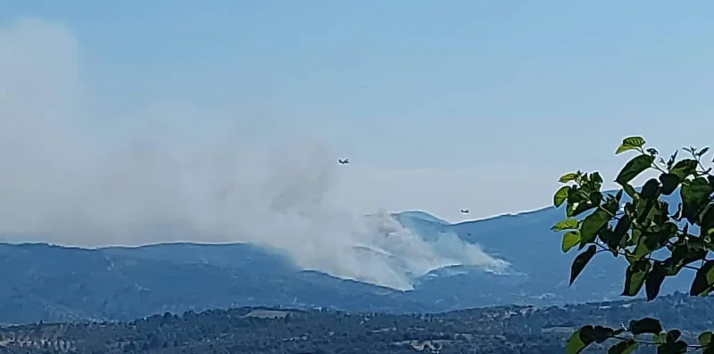 Φωτιά στην Εύβοια