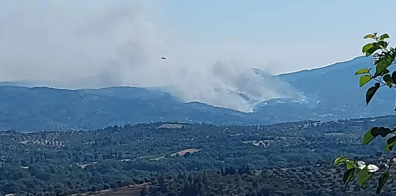 Φωτιά στην Εύβοια