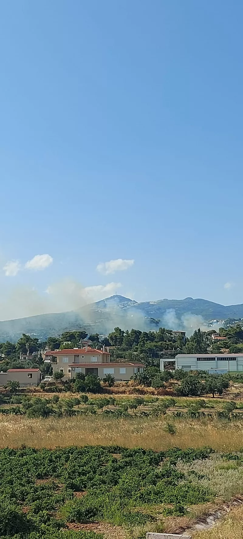 Φωτιά στην Παλλήνη