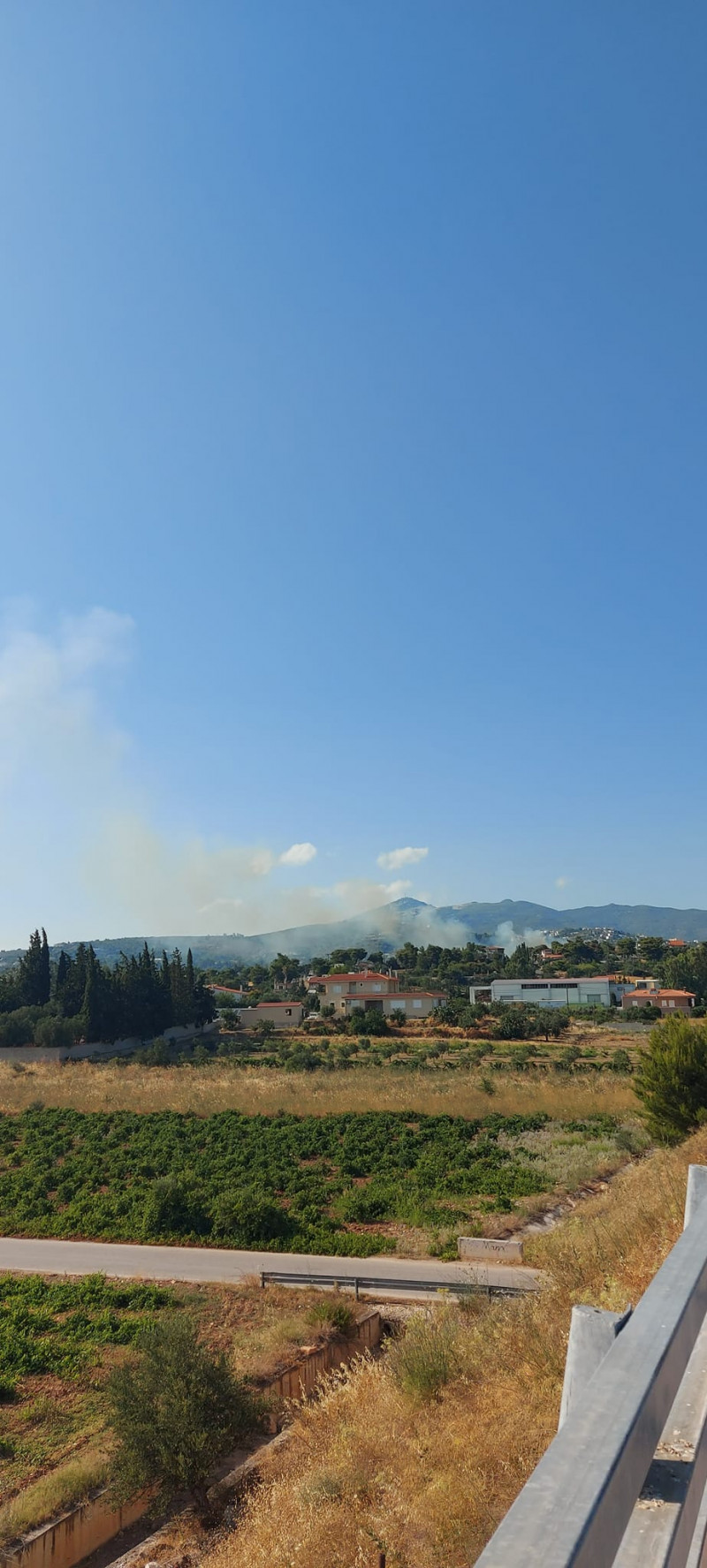 Φωτιά στην Παλλήνη