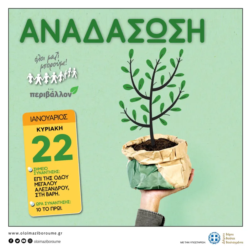 Αναδάσωση