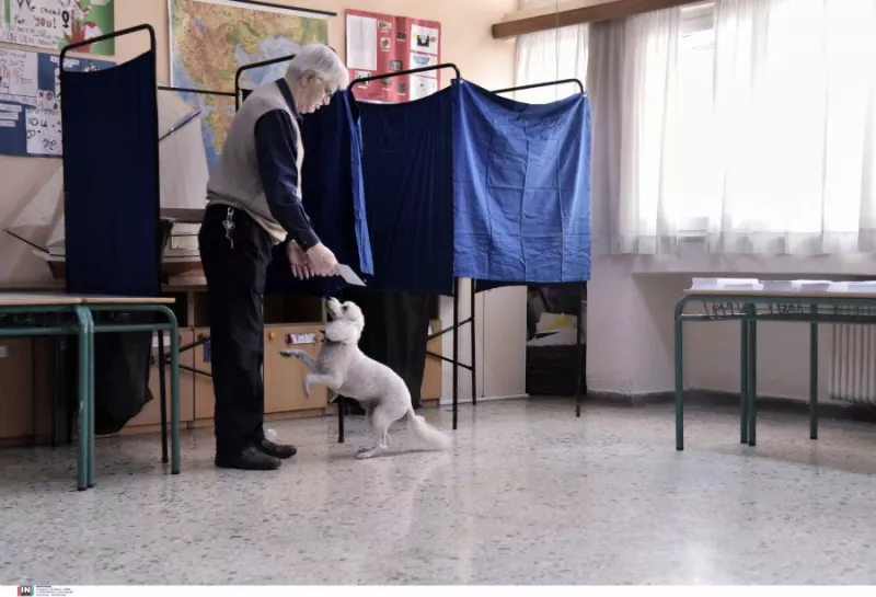 Σκυλάκι 