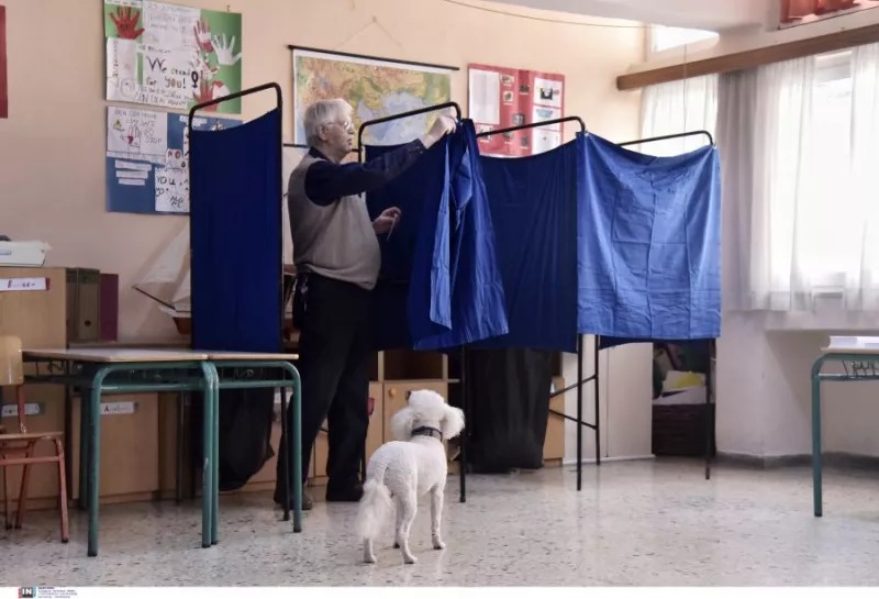 Σκυλάκι 