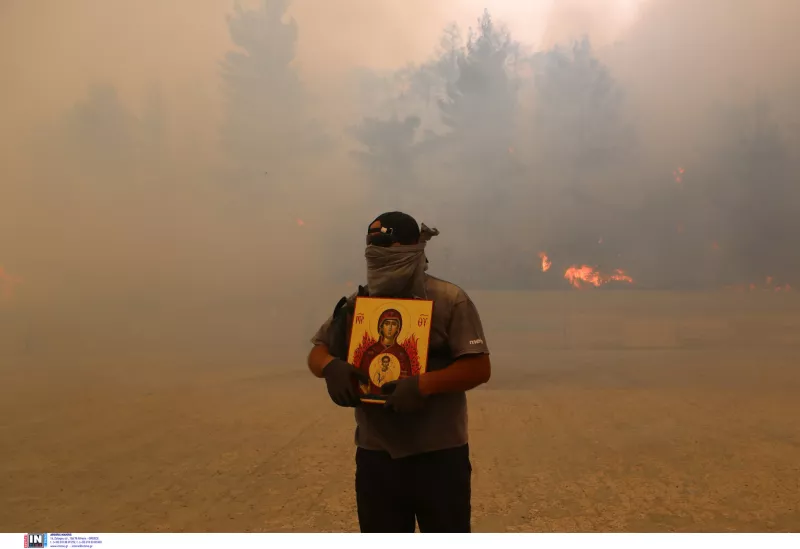 Φυλή
