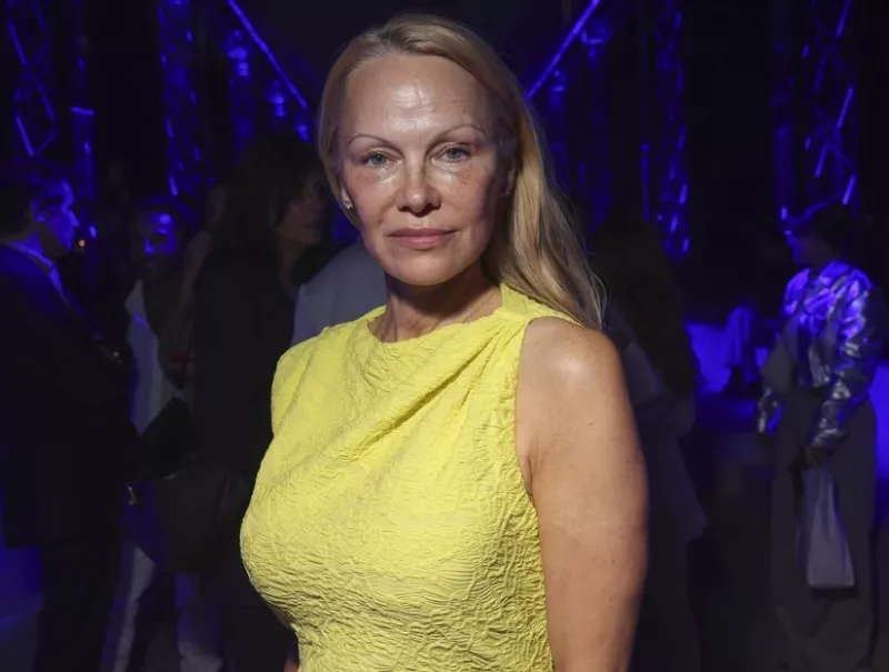 PAMELA 