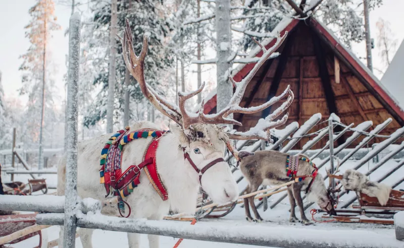 rovaniemi