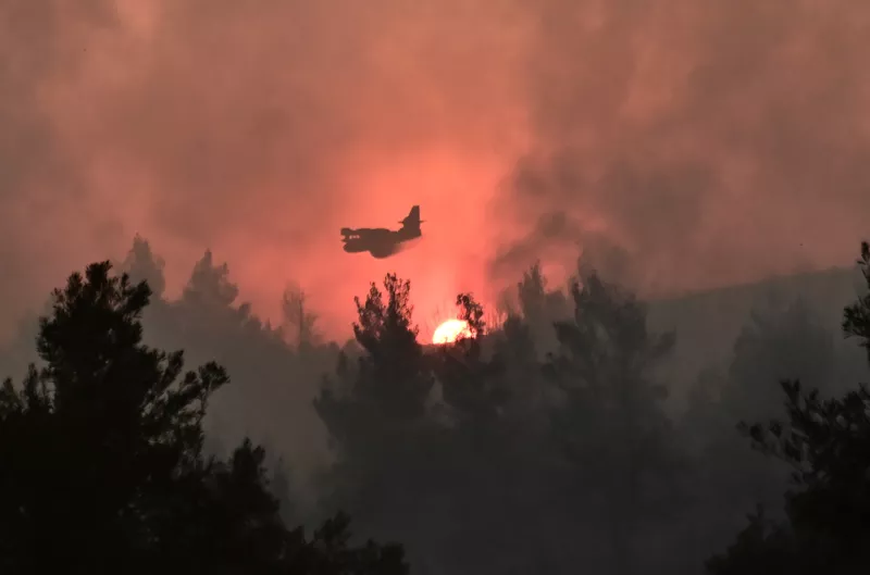 Ολονύκτια μάχη με τις φλόγες στον Ωρωπό – Νέα ενίσχυση των δυνάμεων – Δείτε βίντεο