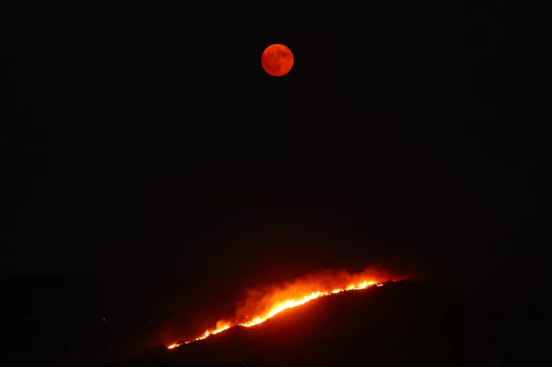 Κερατέα