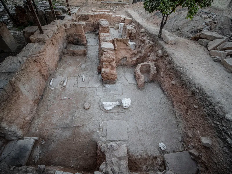 Γενική άποψη της φετινής ανασκαφής από ανατολικά.