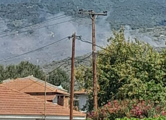 Πήλιο
