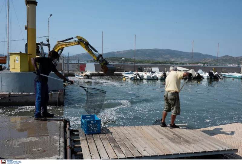 Βόλος