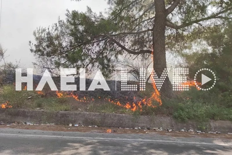 Φωτιά 