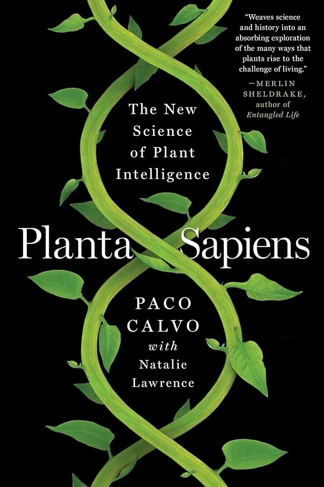 Calvo