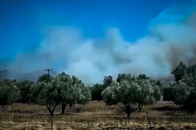 Αλιβέρι