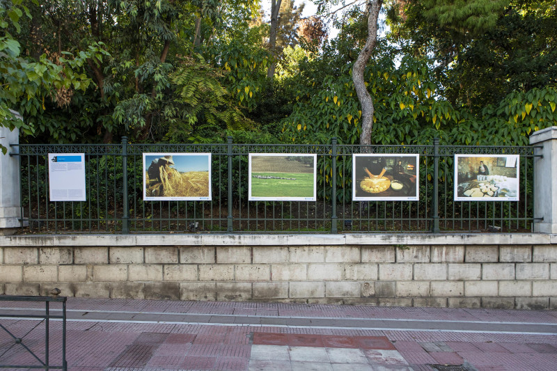 ΕΚΘΕΣΗ