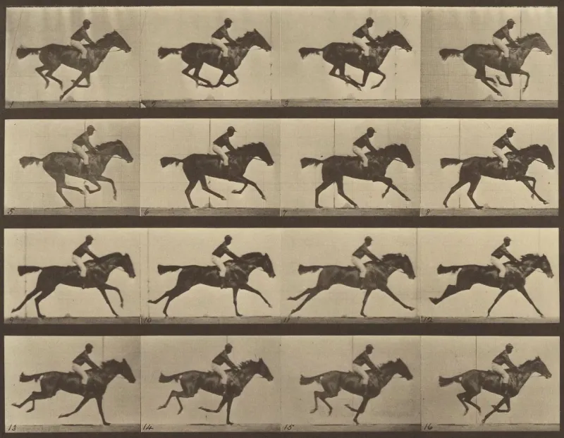 To έργο «The Horse in Motion» 