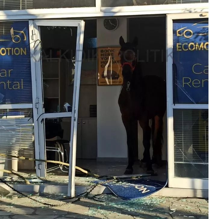άλογο