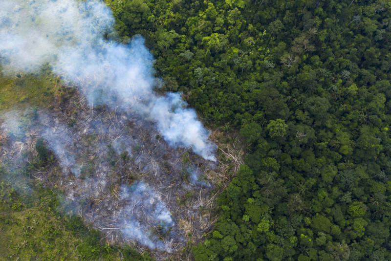 Το βραζιλιάνικο τμήμα του Αμαζονίου έζησε τον χειρότερο Αύγουστο από το 2010