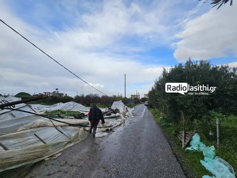 λασιθι θερμοκήπια