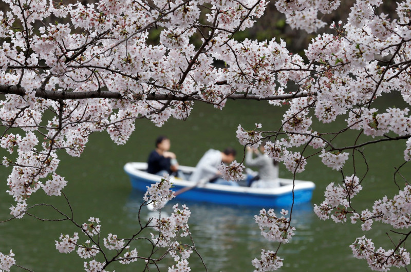 hanami