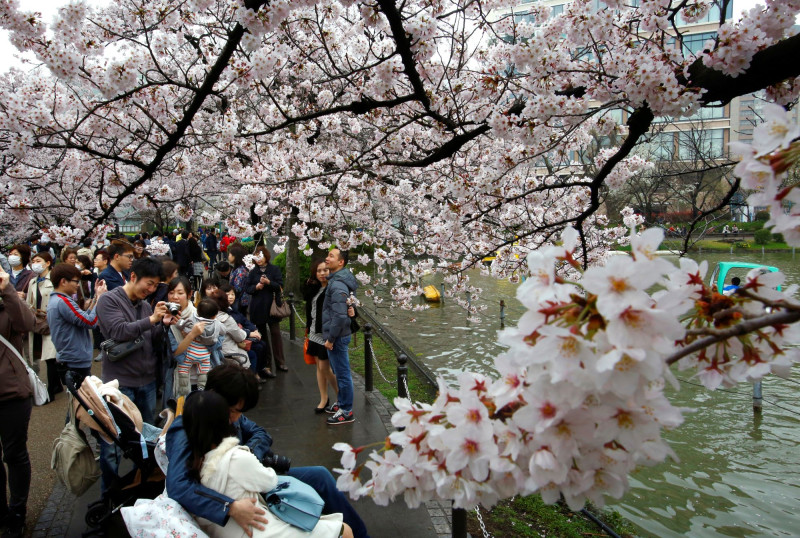 hanami