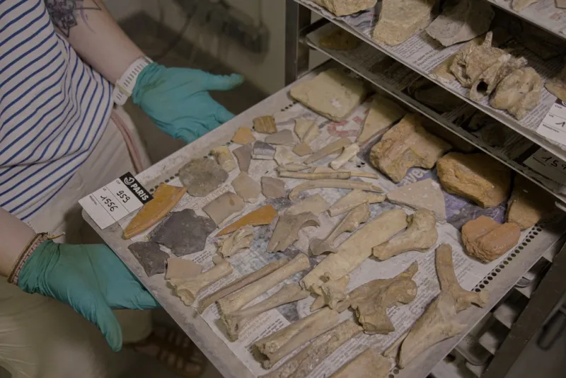 France Notre Dame Underground Treasures