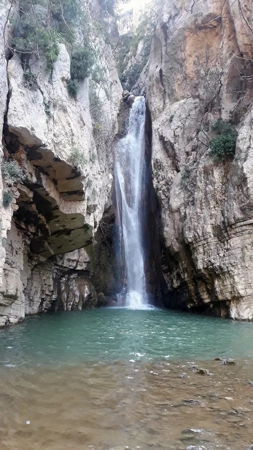 αράκυνθος