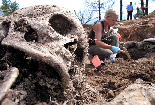 Srebrenica 