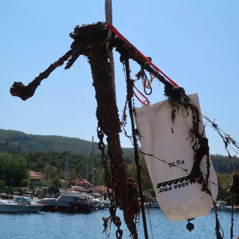 βυθός