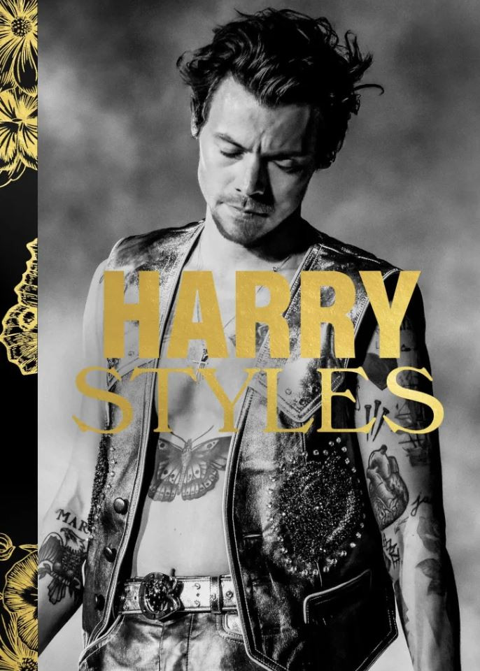 Το βιβλίο για τον Harry Styles