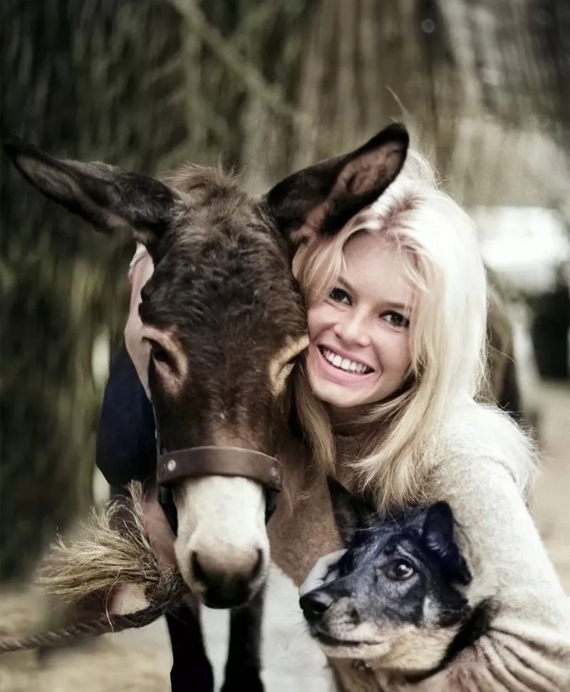 Μπριζίτ Μπαρντό