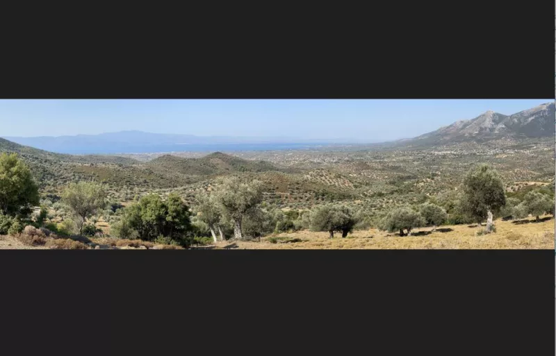 Αρτεμιδα