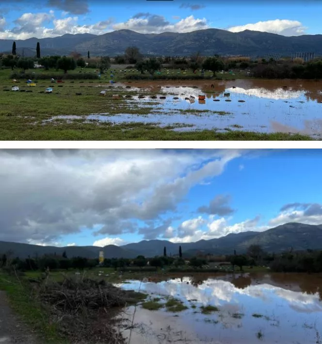 ΜΕΣ