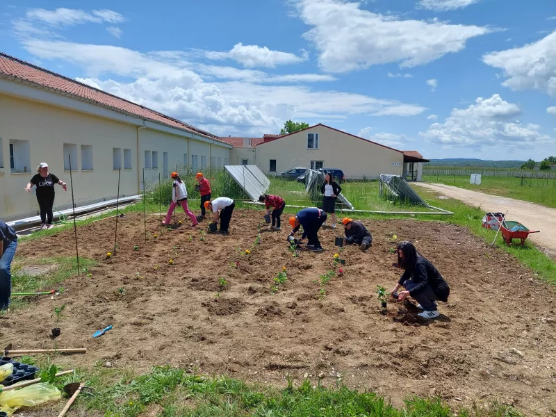Carbon farming schools