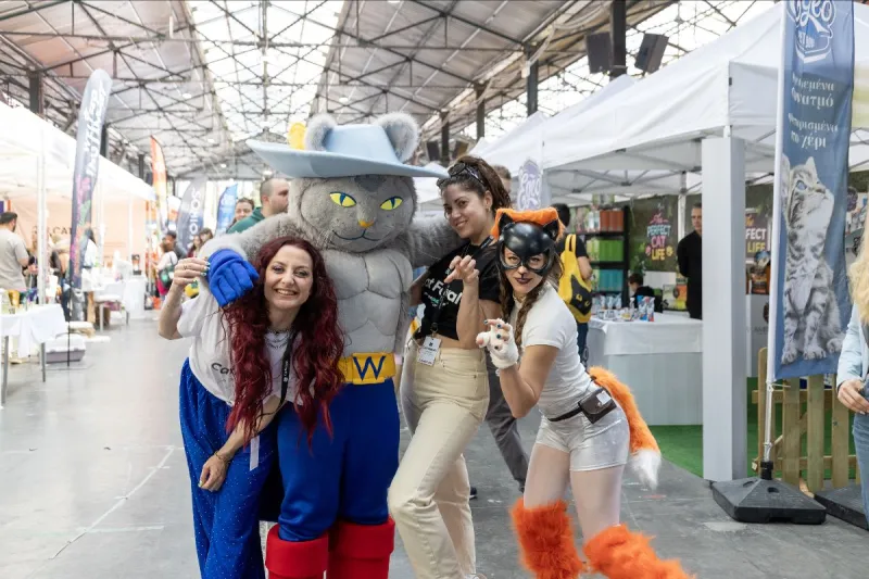 CAT FESTIVAL