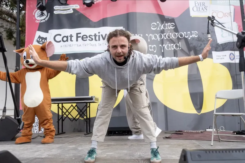 CAT FESTIVAL