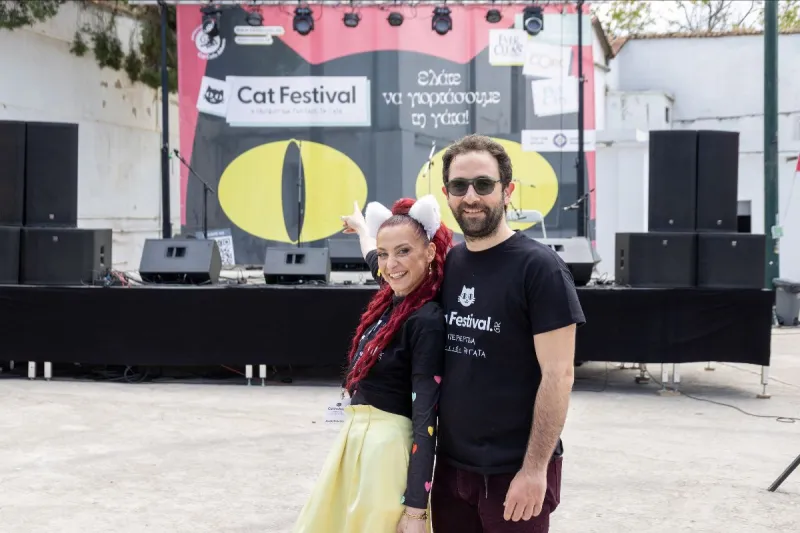CAT FESTIVAL