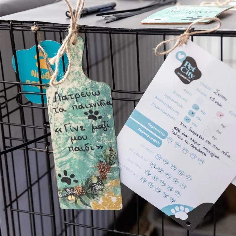 CAT FESTIVAL