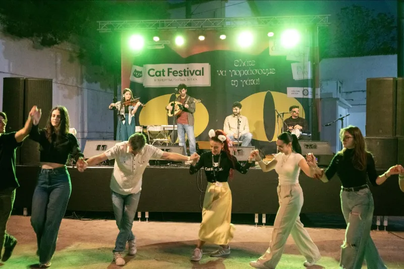 CAT FESTIVAL