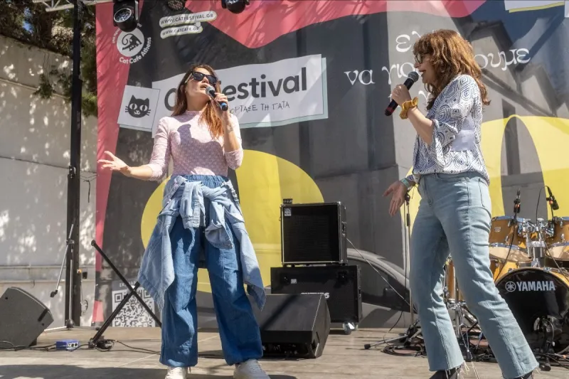 CAT FESTIVAL