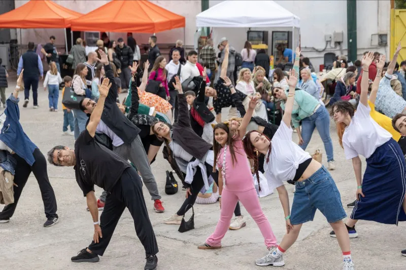 CAT FESTIVAL