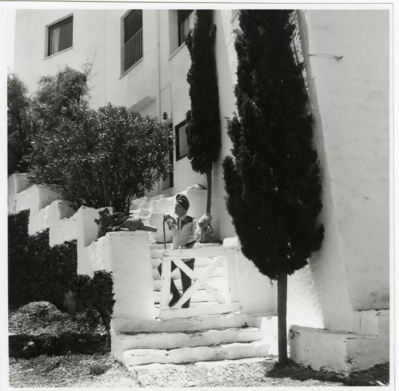 dali