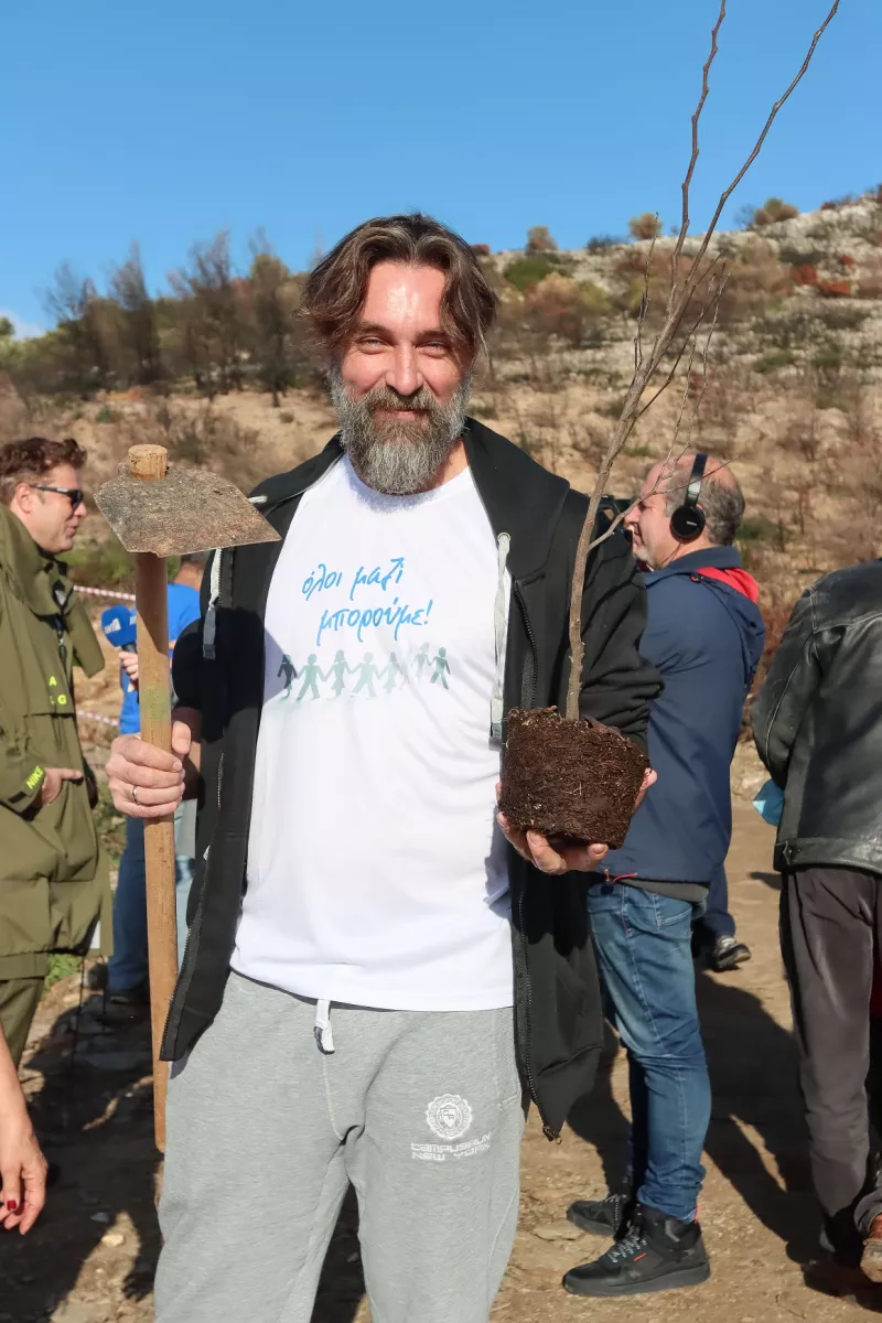 Δενδροφύτευση της Πεντέλης
