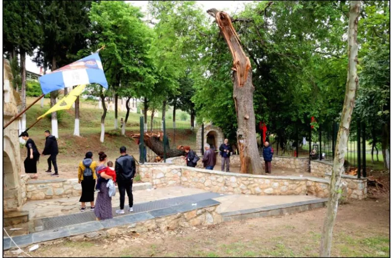 δεντρο