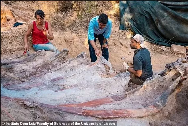 Σαυρόποδο στην Πορτογαλία