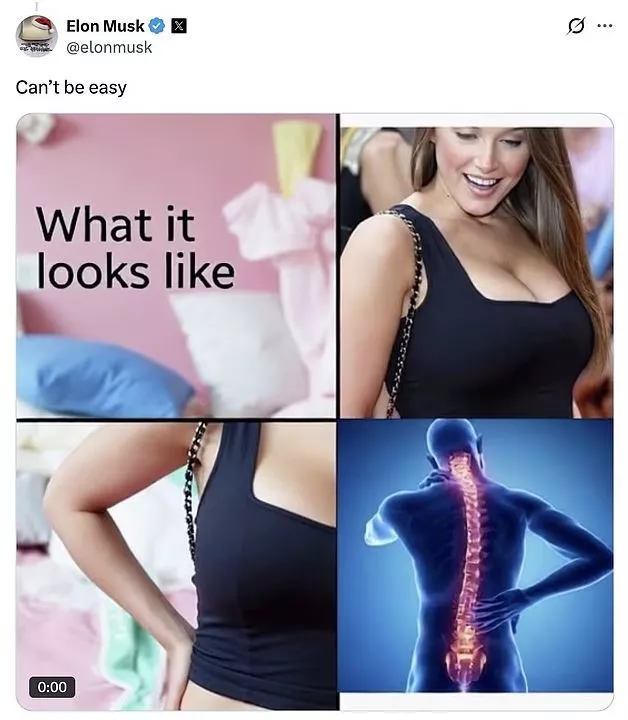 Η ανάρτηση του Ίλον Μασκ